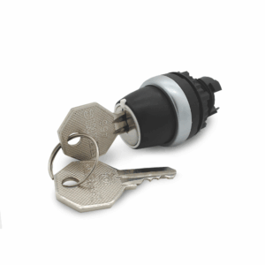 Nøkkelbryter med nøkler | BP10081